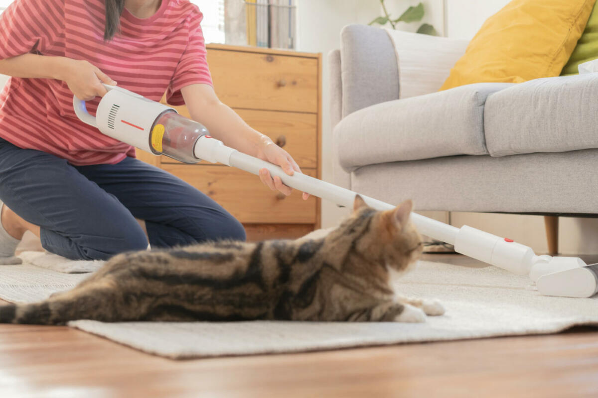 Frau kniet auf Teppich und saugt unter der Couch, neben ihr liegt eine Katze